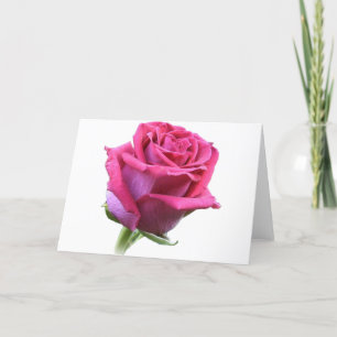 Rose Bud Card Pink