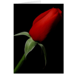 Rose Bud Love Elegant Fancy Photo Blank Inside