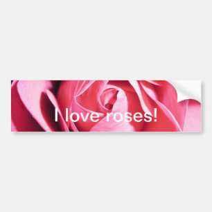 Rose bumper sticker