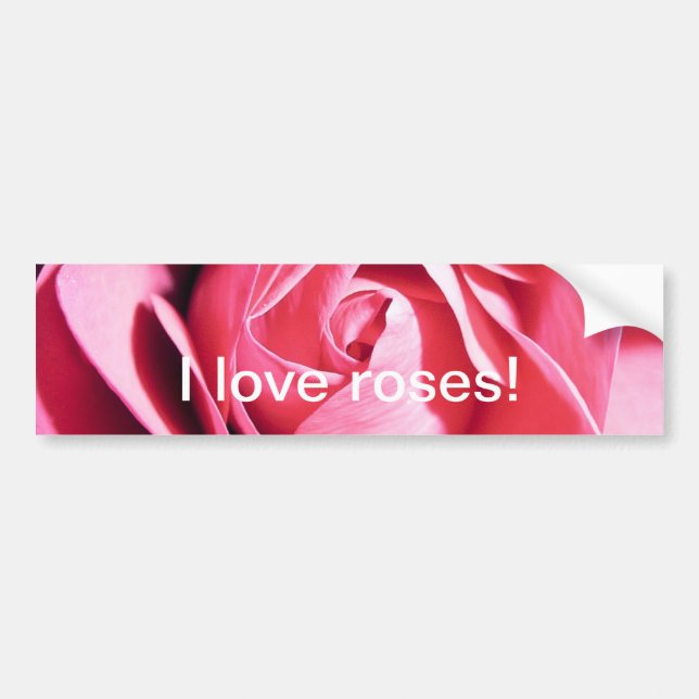 Rose bumper sticker (Front)