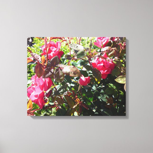 Rose Bush Canvas Print (Front)