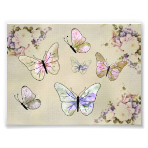 rose butterfly photo print