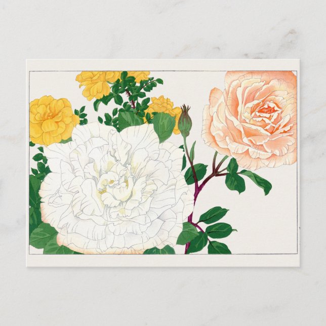 Rose by Tanigami Konan Postcard (Front)