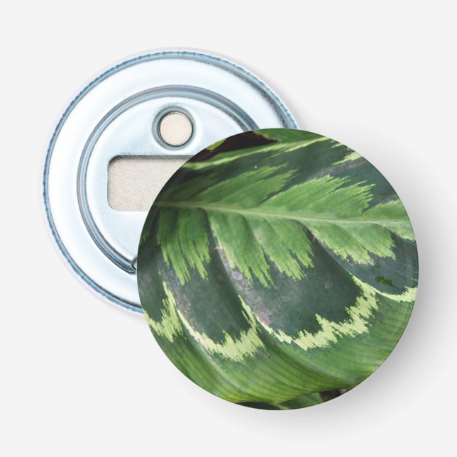 Rose Calathea Magnetic Bottle Opener (Front)