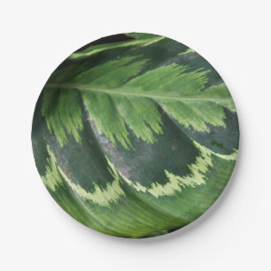 Rose Calathea Paper Plates