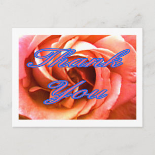 Rose Canterbury 4 Thank You 1 The MUSEUM Zazzle Gi Postcard