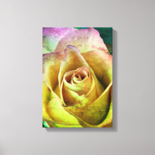 Rose Canvas Art