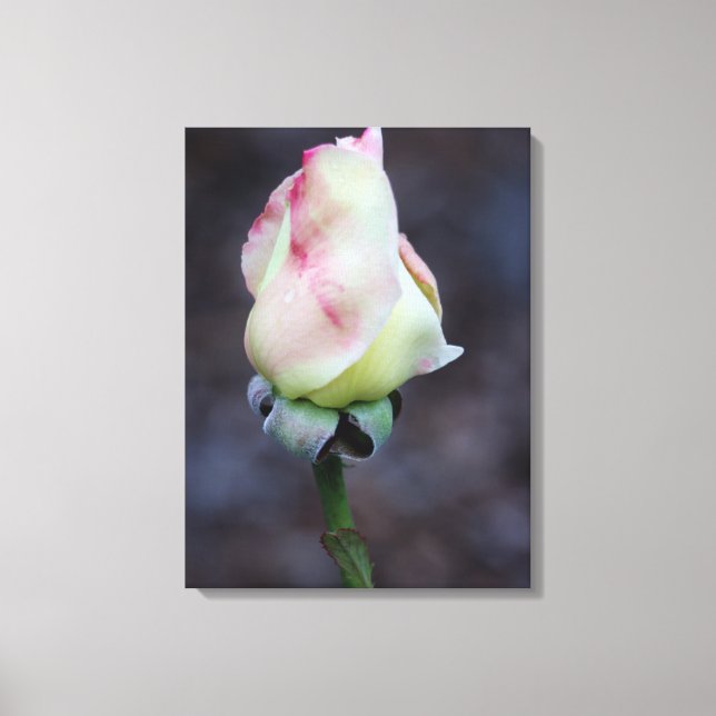 Rose Canvas Wrap Print (Front)
