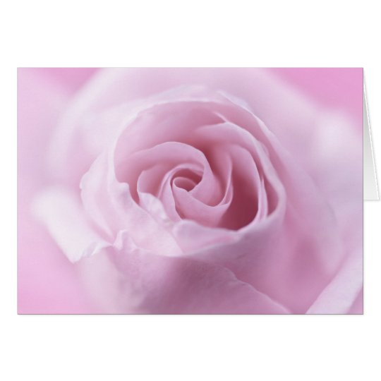 Rose Card