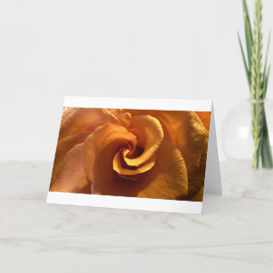 Rose, Card