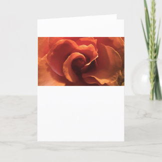 Rose, Card