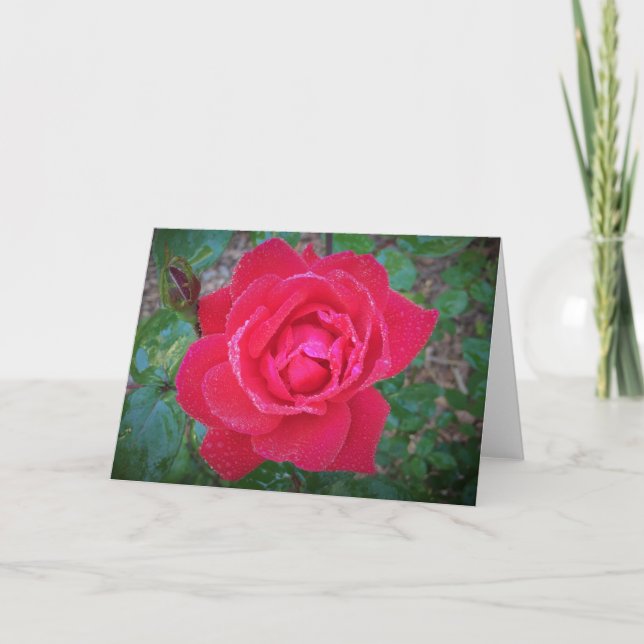 Rose, card (Front)