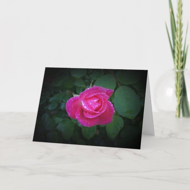 Rose, card (Front)