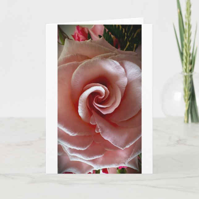 Rose, carte (Devant)