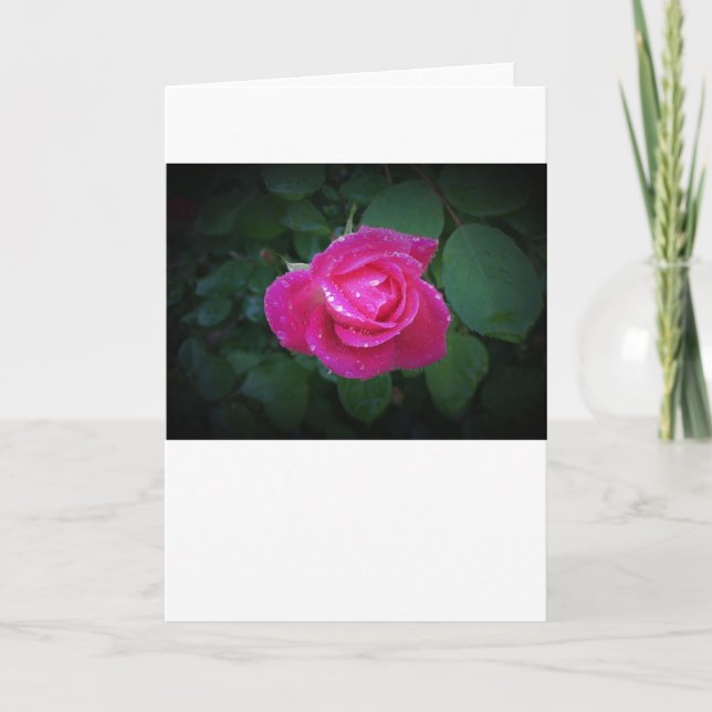 Rose, carte (Devant)