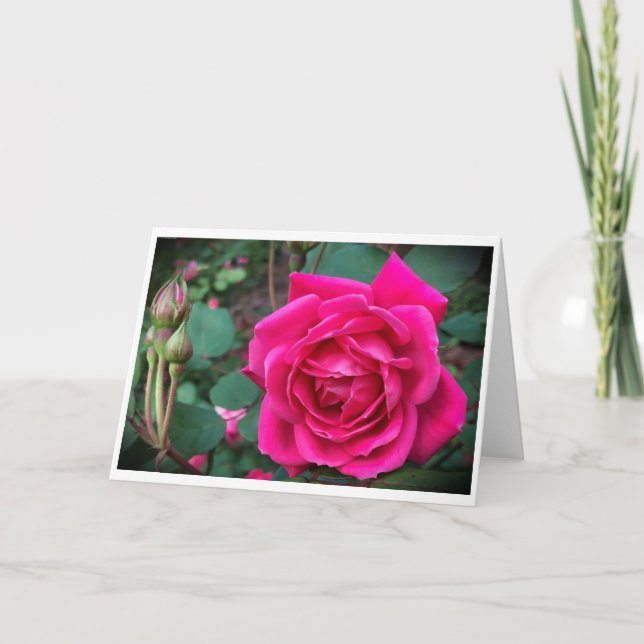 Rose, carte (Devant)