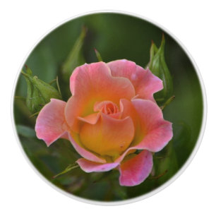 Rose Ceramic Knob
