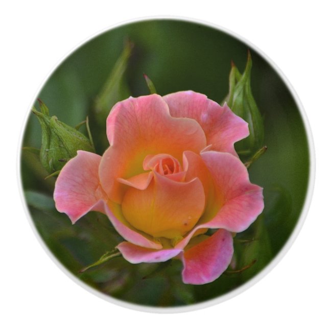 Rose Ceramic Knob (Front)