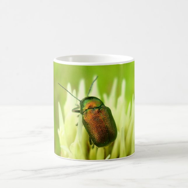 Rose Chafer Bug Mug (Centre)