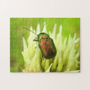 Rose Chafer Photo Puzzle with Gift Box