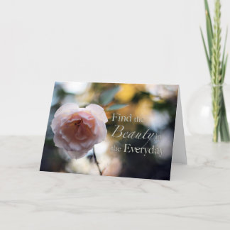 Rose - Cherchez la beauté dans la carte quotidienn