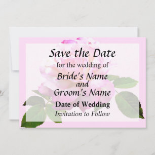 Rose Chicago Peace Save the Date