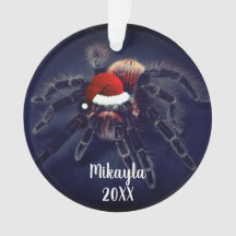  Rose chilien Hair Tarantula à Santa Hat