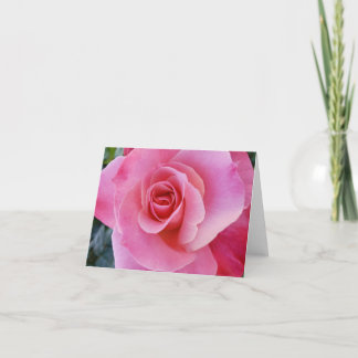 rose clair ouvert à l'amour carte pour notes