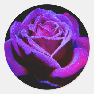 Rose Classic Round Sticker