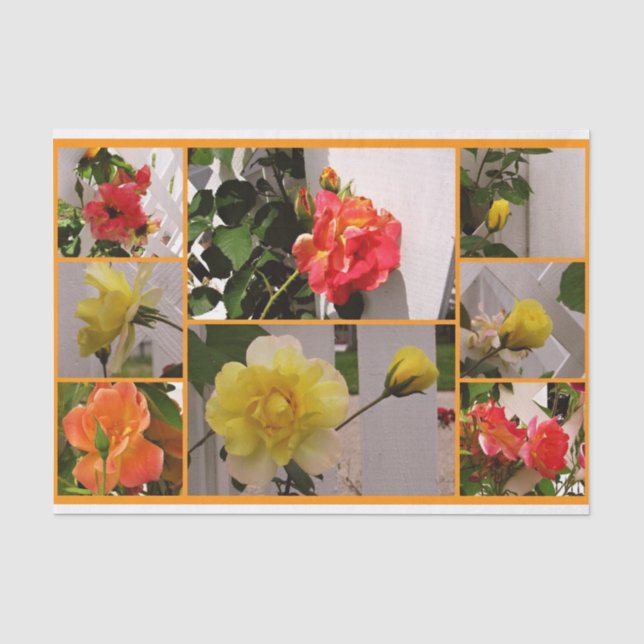 Rose Collage Josephs Coat-Tissue Wrap Paper (Front)