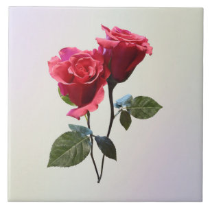 Rose Couple Tile