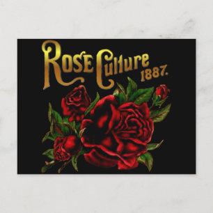 Rose Culture 1887 Postcard