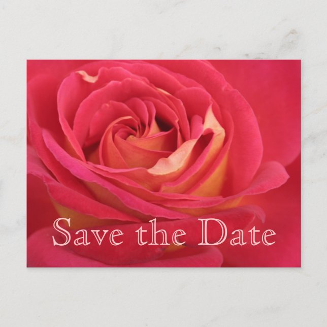 Rose Customizable 75th Birthday Save the Date Post Announcement Postcard (Front)
