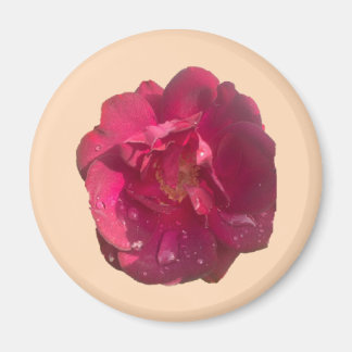 Rose D Magnet