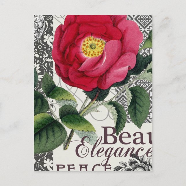 Rose Damask Pretty Floral Antique Postcard (Front)