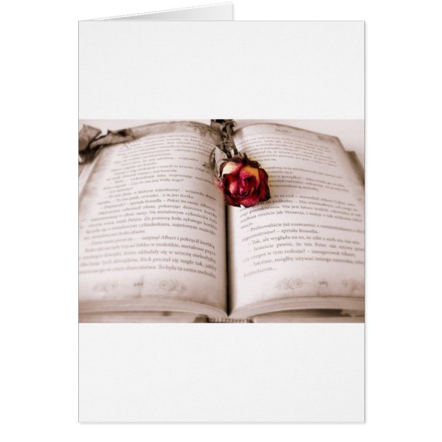 Rose dans la bible (Devant)