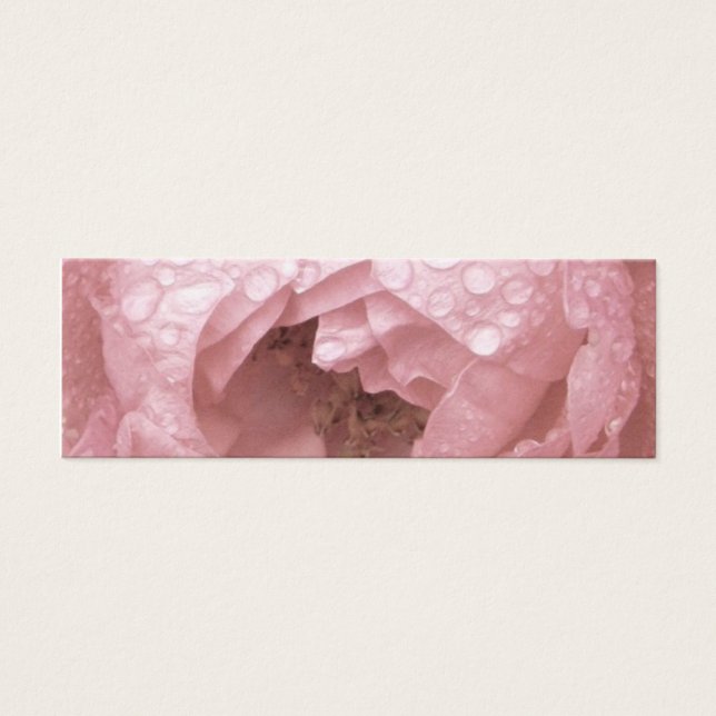 Rose dans le désert, carte de profil (Devant)