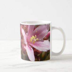 Rose de désert - tasse #1