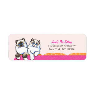 Rose de divan de Ragdoll d'affaires de garde