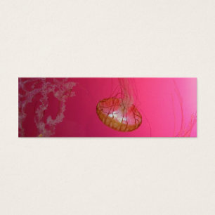 Rose de méduses