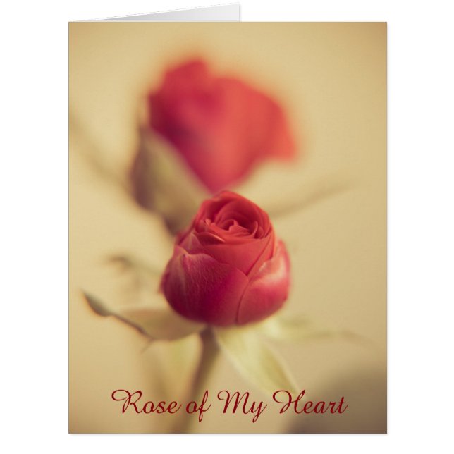 Rose de mon coeur (Devant)