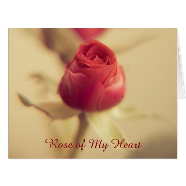 Rose de mon coeur (Devant horizontal)