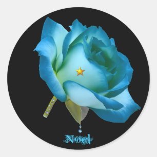 Rose de Noel - Sticker