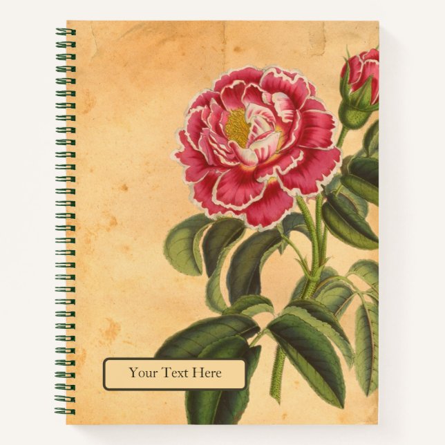 Rose de Provence Spiral Notebook (Front)