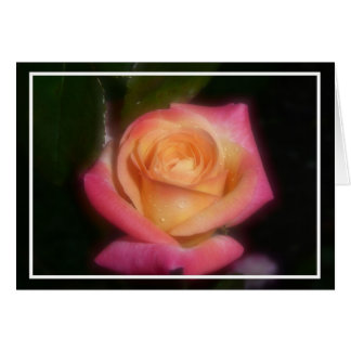 Rose de rose