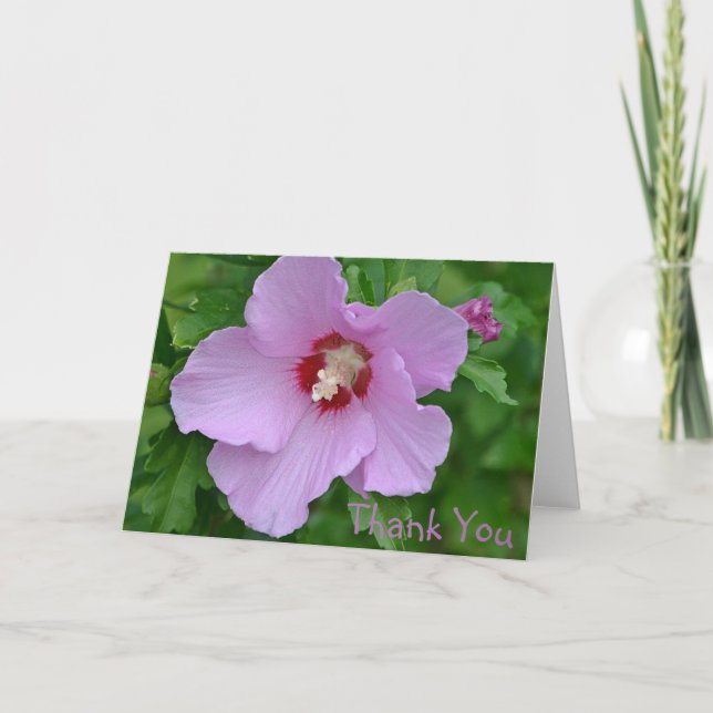 Rose De Sharon Carte de remerciements (Devant)