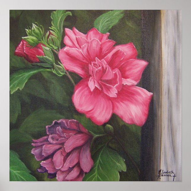 Rose de Sharon Poster (Devant)