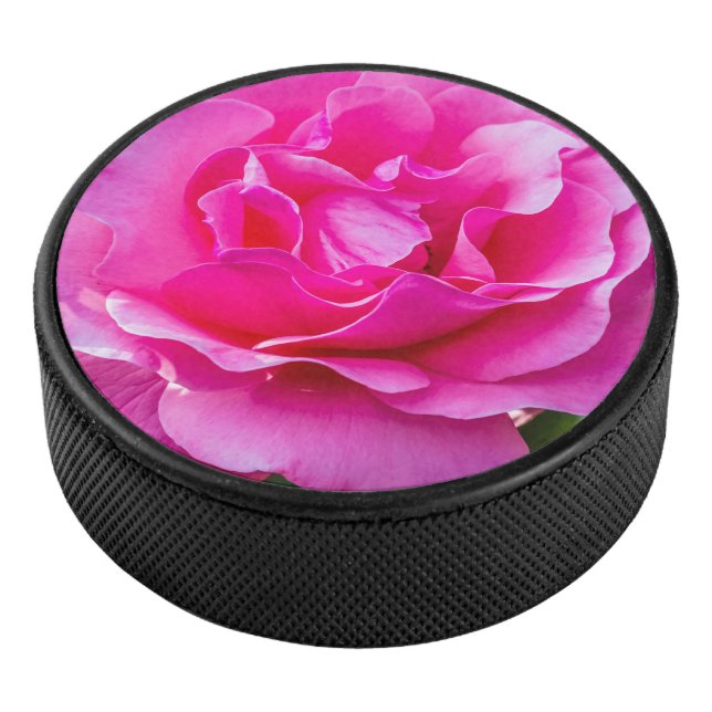 Rose délicate. (3/4/2016 12:00:00 AM)