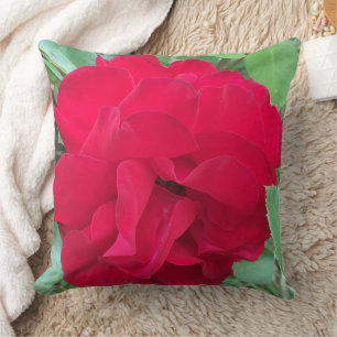 Rose délicate en photo throw pillow
