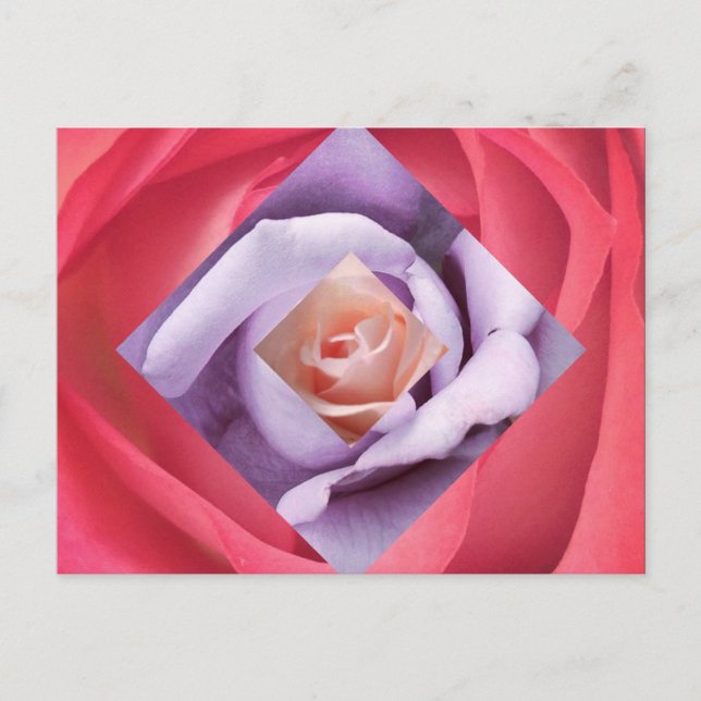 Rose Diamond Postcard (Front)
